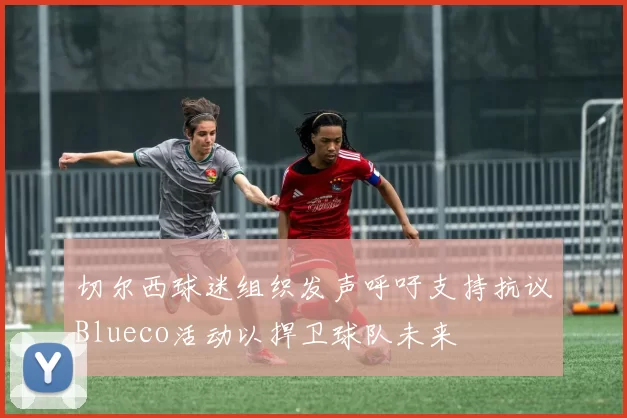 切尔西球迷组织发声呼吁支持抗议Blueco活动以捍卫球队未来