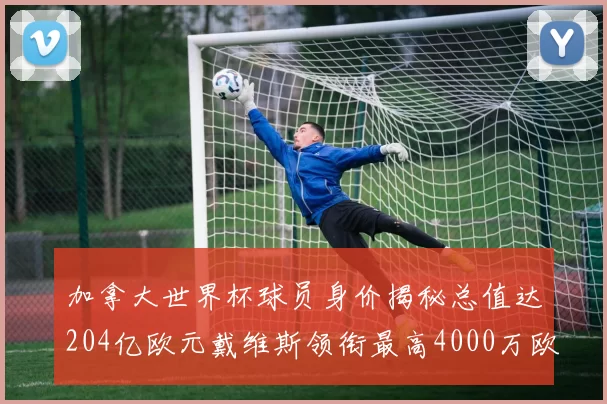 加拿大世界杯球员身价揭秘总值达204亿欧元戴维斯领衔最高4000万欧